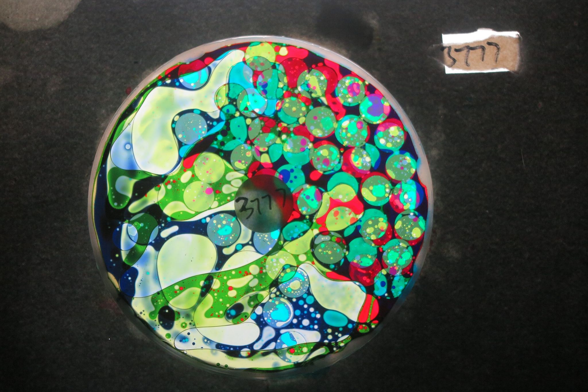 BV3777 bubble vision oil wheel